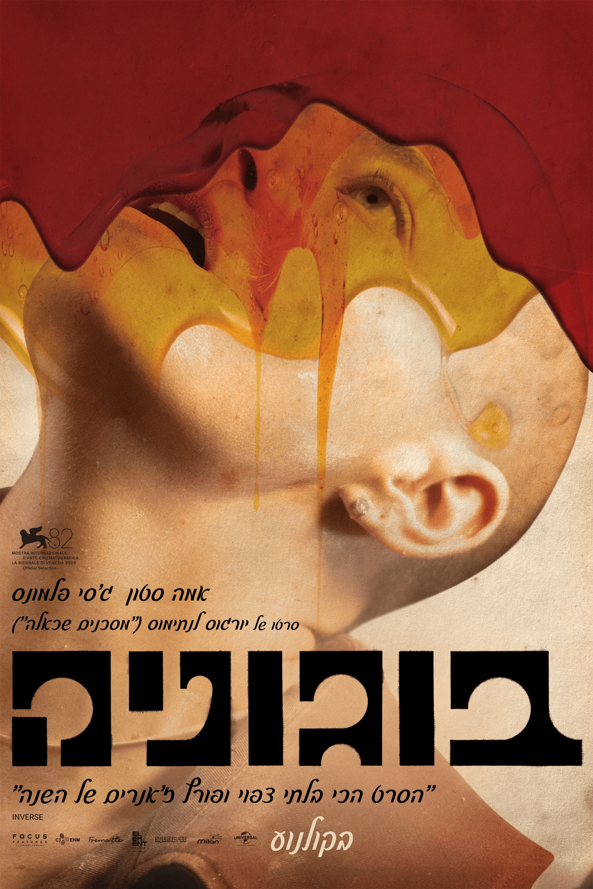 בוגוניה