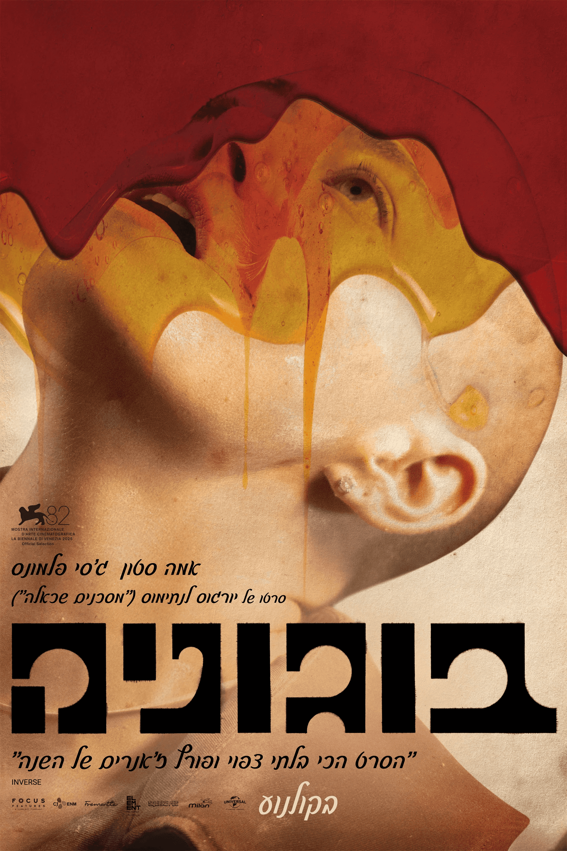 בוגוניה