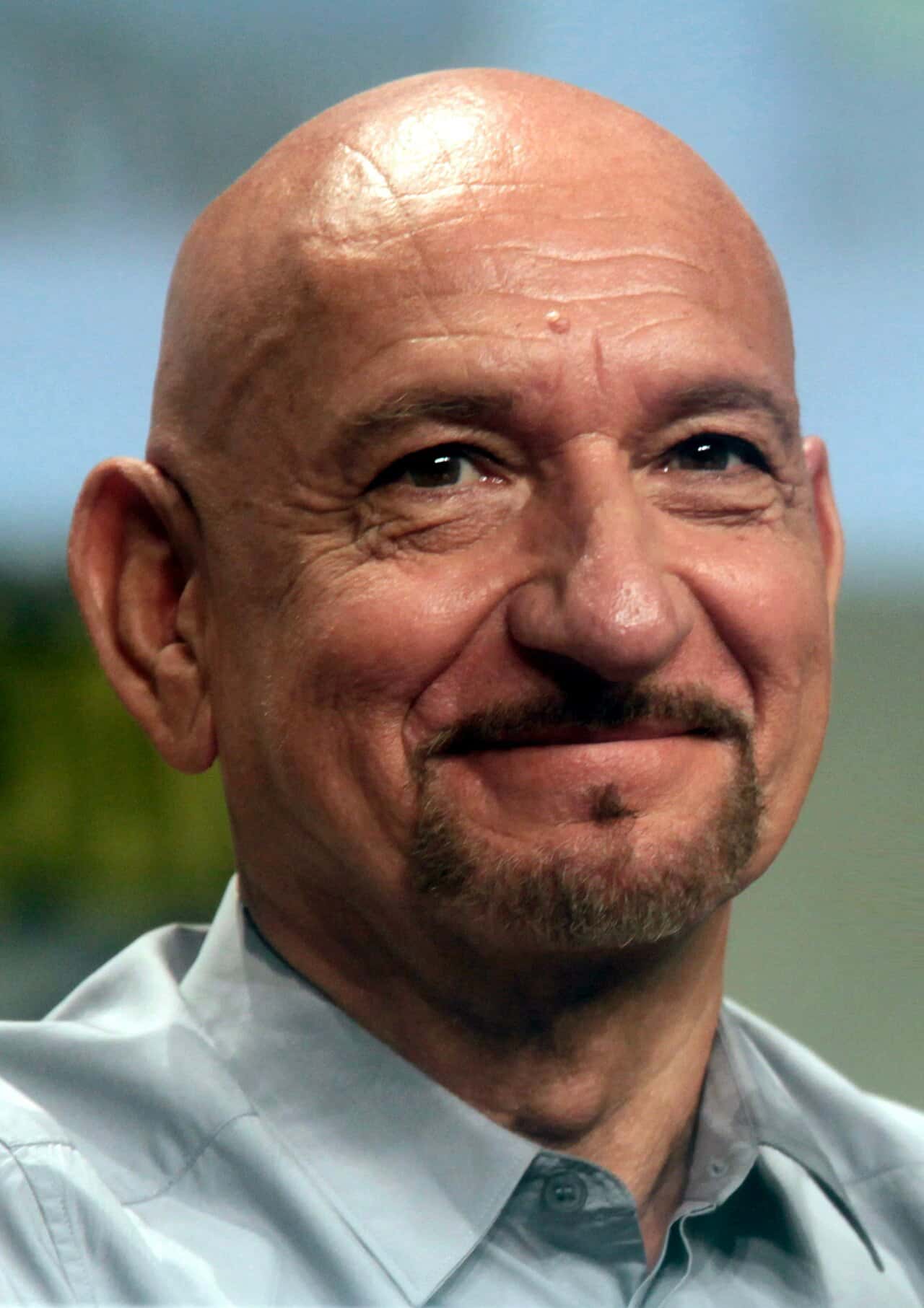 תמונת פרופיל של בן קינגסלי
